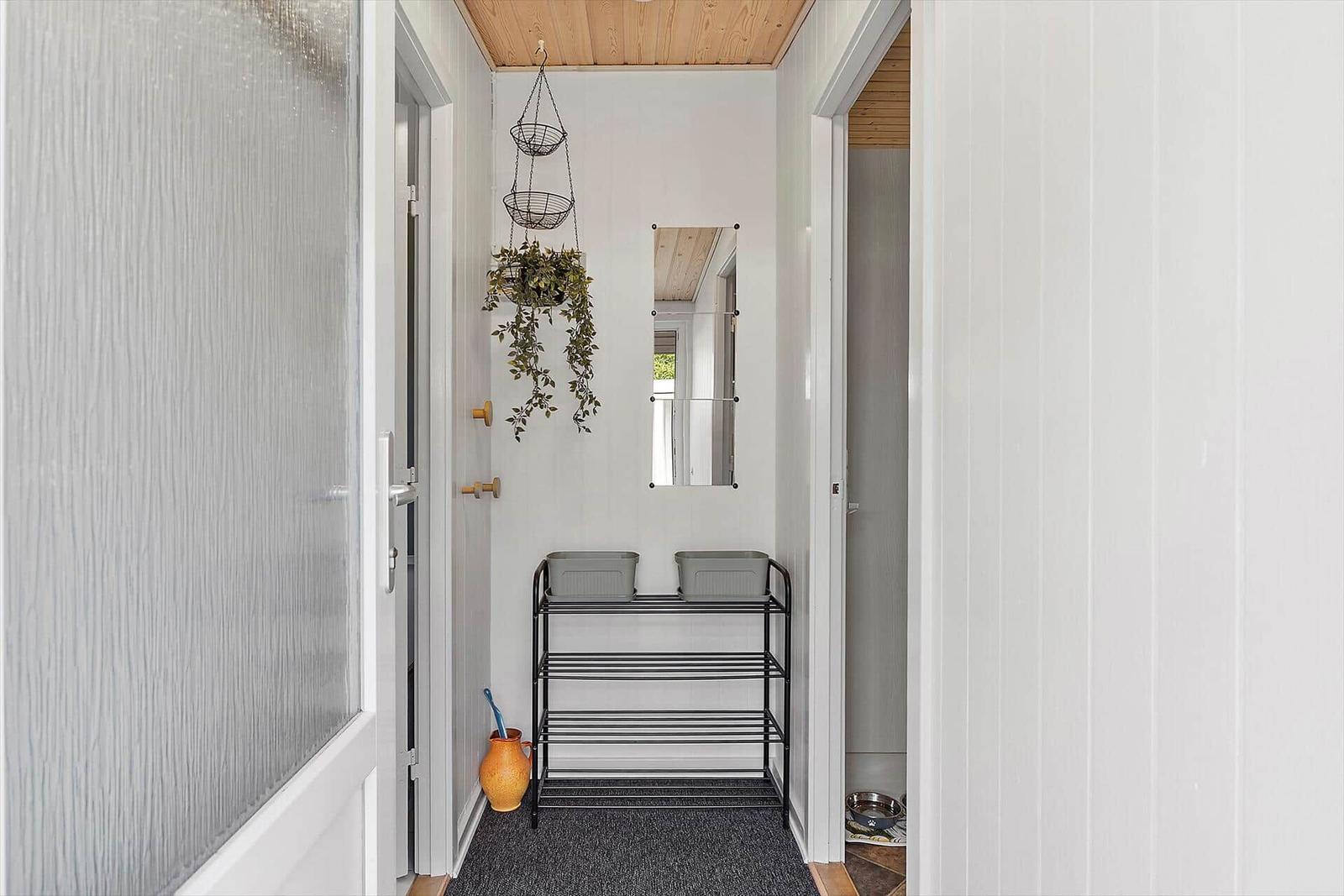 Entrance area with shoe rack, plant, and mirror on the wall.