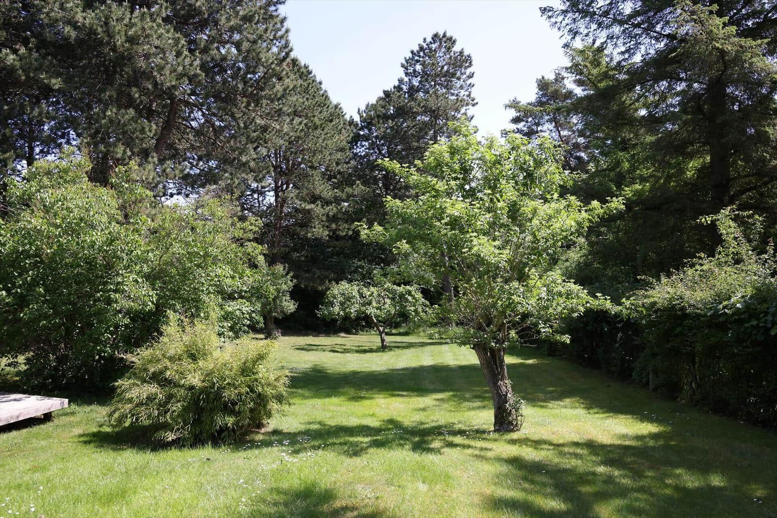 Lush green lawn with trees and shrubs in the background.