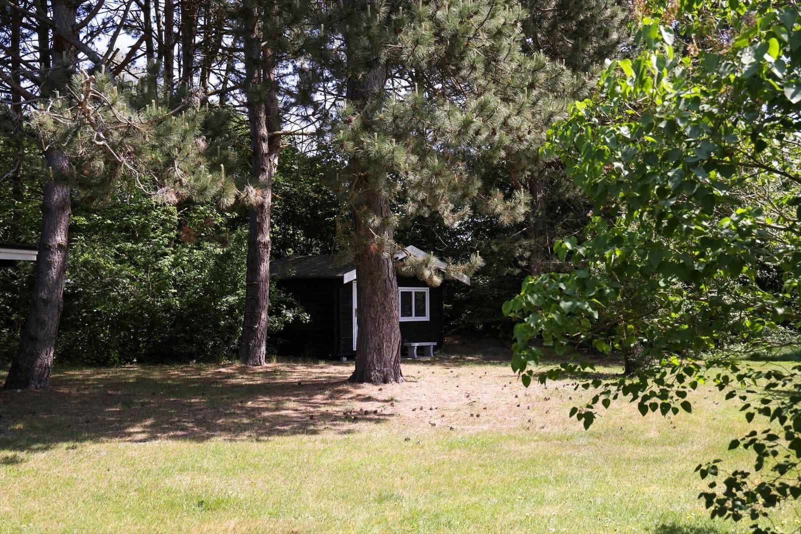 Wooden house in the forest with green lawn and tall trees.