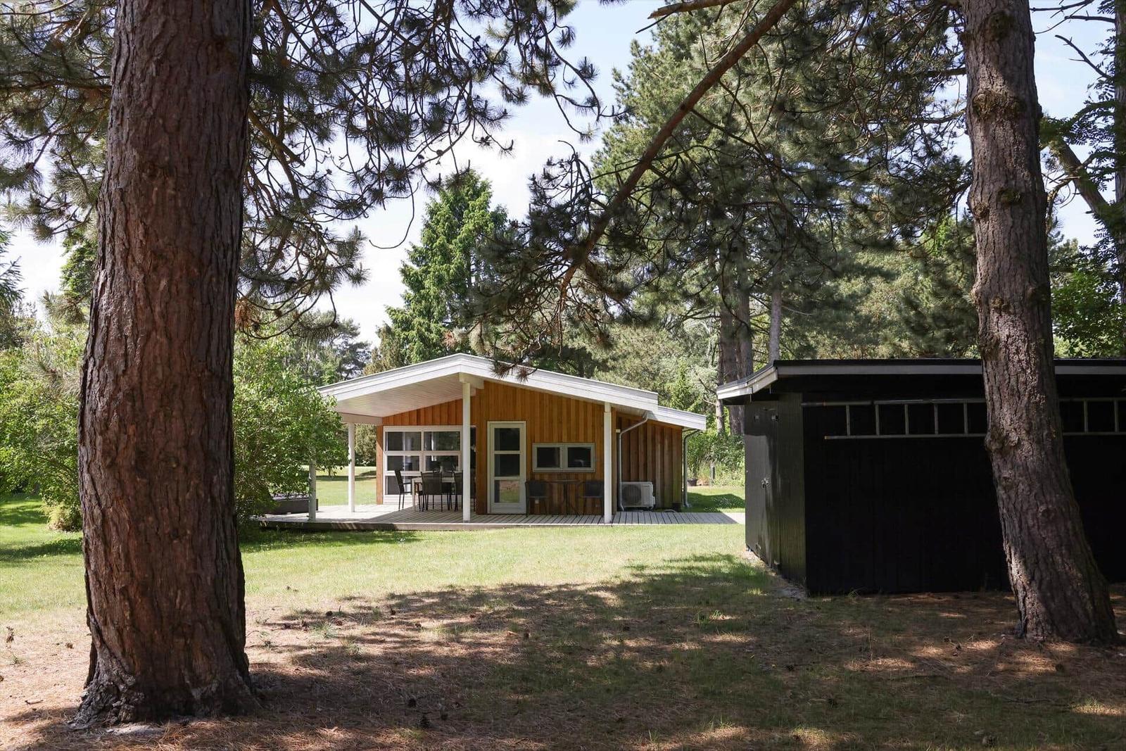 Wooden house with terrace and barbecue area in the woods. Next to a dark shed.