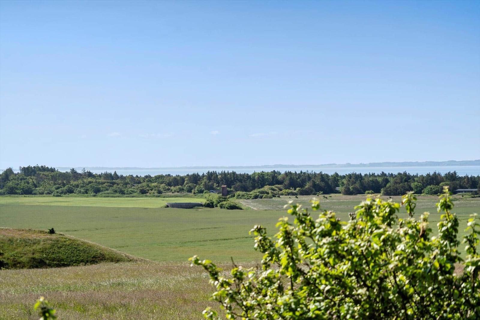 Wide field with forest and water in the distance under a blue sky.