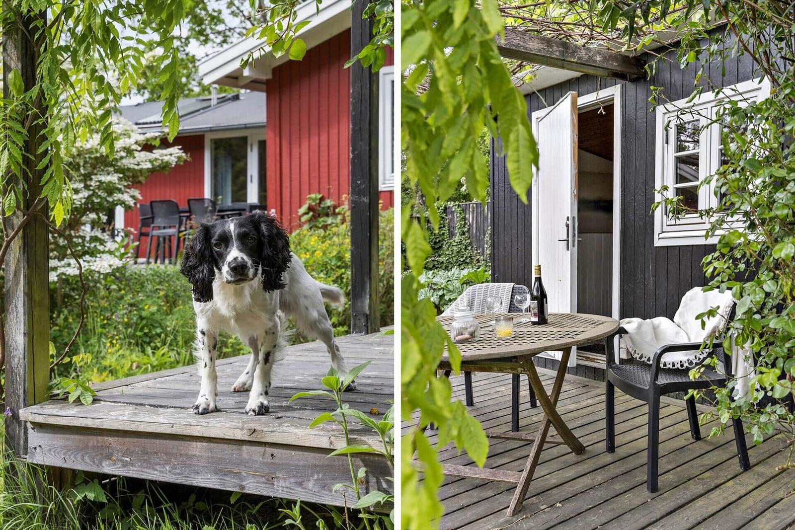 Hund auf Holzterrasse vor rotem Haus. Außentisch mit Stühlen und Weinflasche.