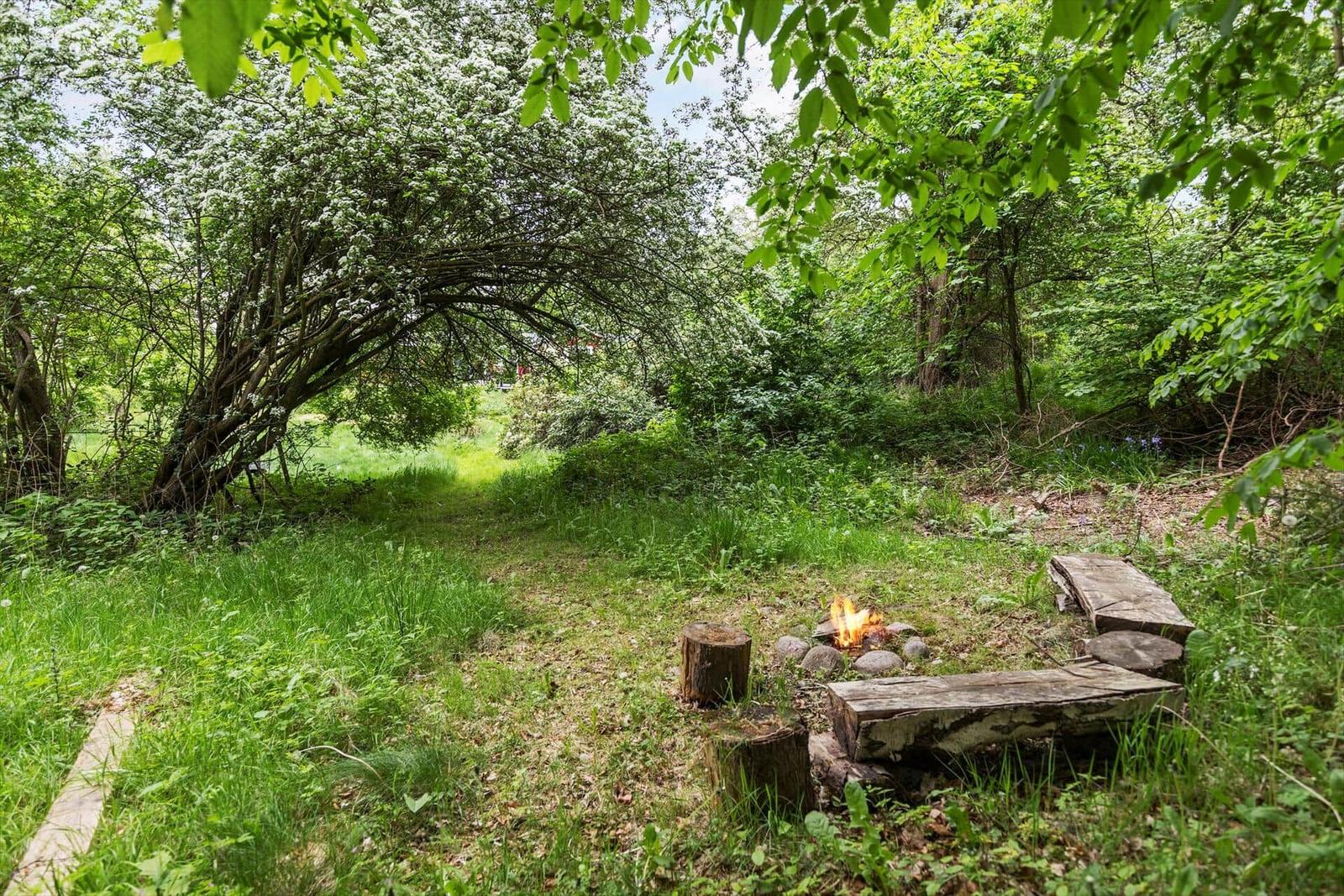 Feuerplatz im Wald mit Sitzbänken aus Baumstämmen und grüner Vegetation.