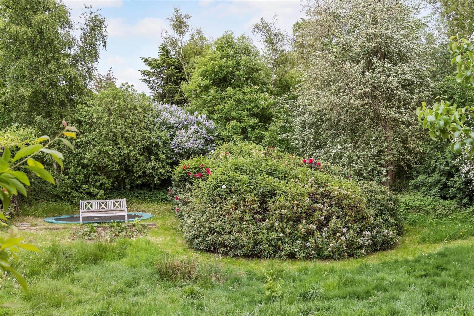 Garten mit weißem Holzbank, Blumenbeete und grüner Wiese umgeben von Bäumen.