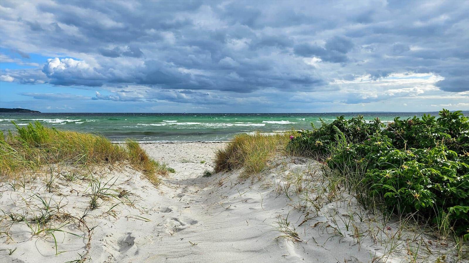 Sandy dunes lead to a beach with green sea under a cloudy sky.