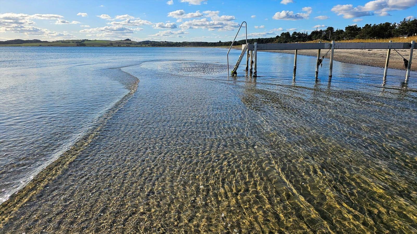 Clear lake with pier and ladder into water