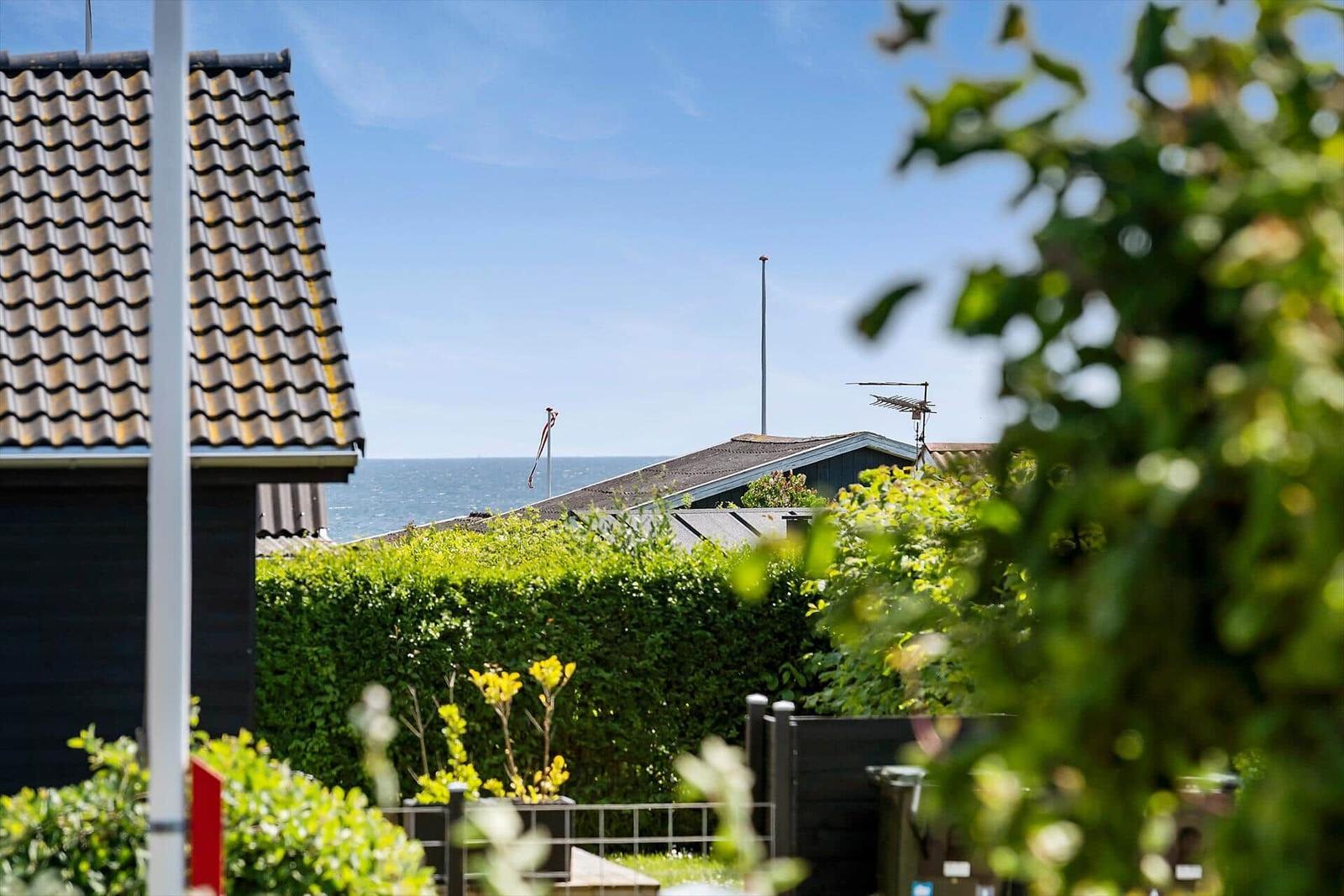 Hinter einem grünen Zaun ist das Meer zu sehen.