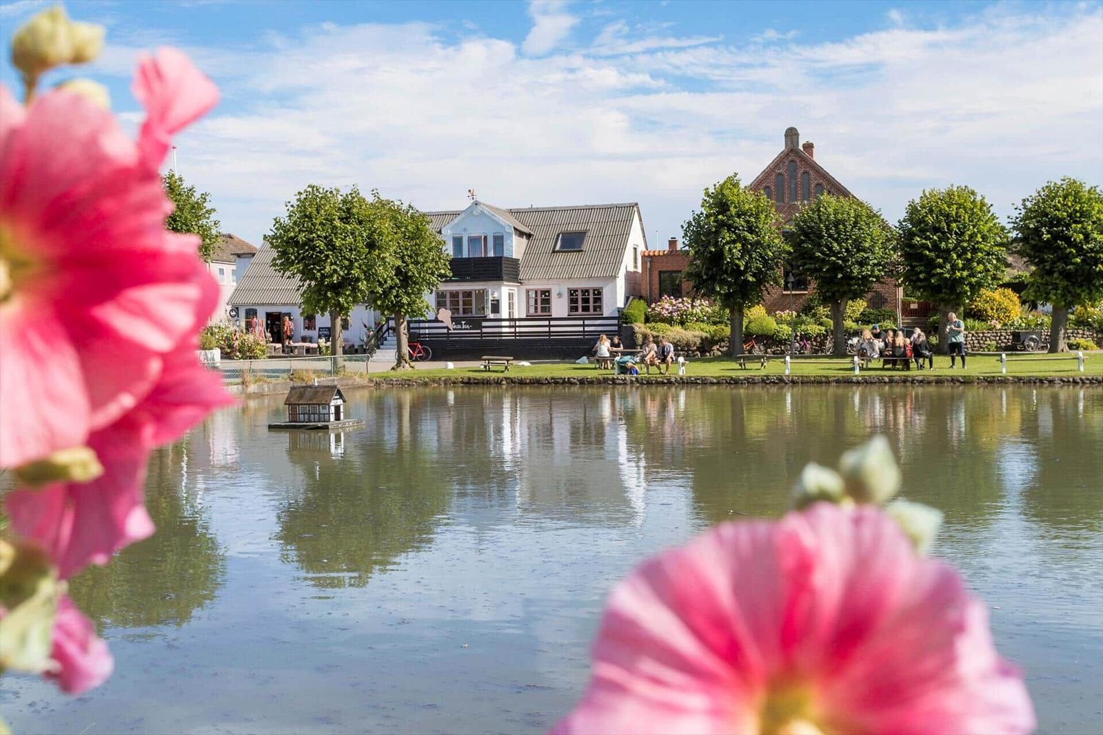 Seeufer mit Blumen, Häusern und Menschen im Hintergrund.
