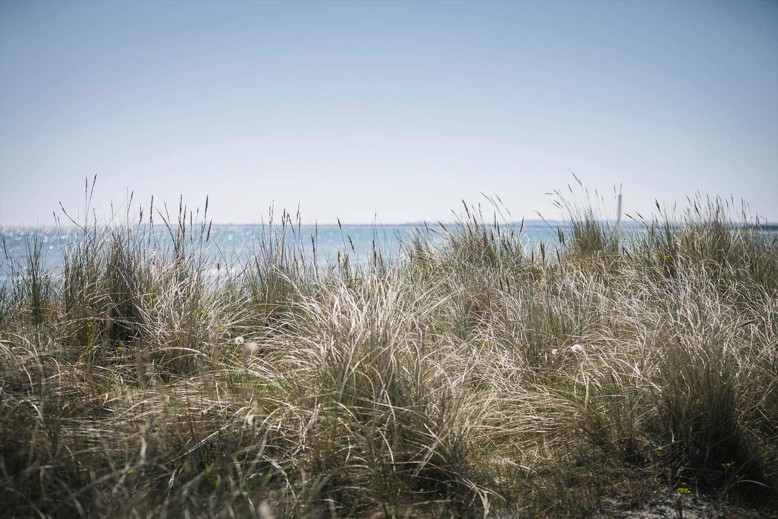 Hochgras am Strand mit Blick auf das Meer unter blauem Himmel