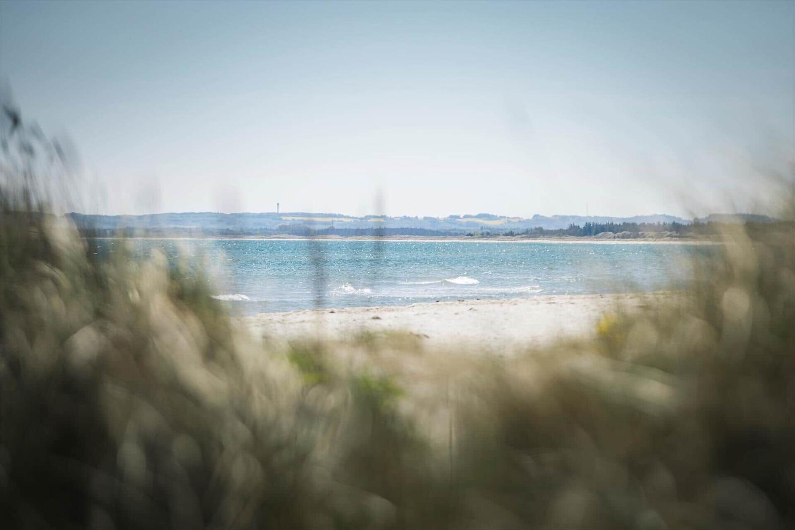 Blick auf einen Strand mit ruhigem Meer und grüner Landschaft im Hintergrund.
