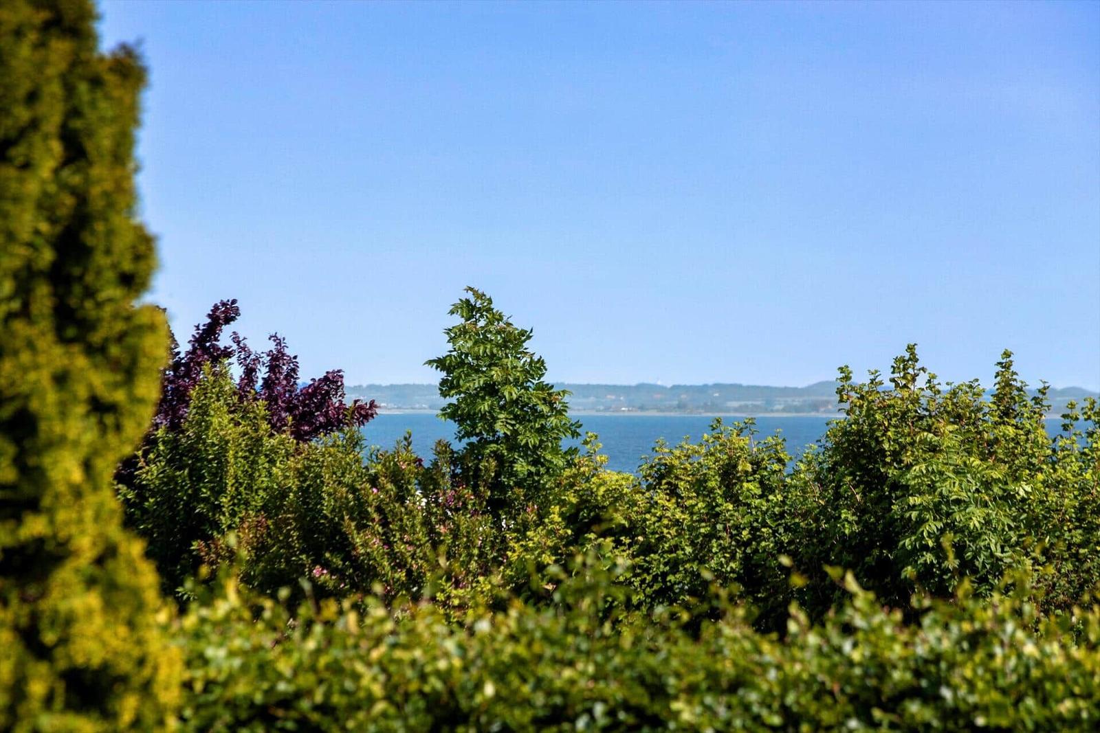 View of the sea through green trees and shrubs under a blue sky.