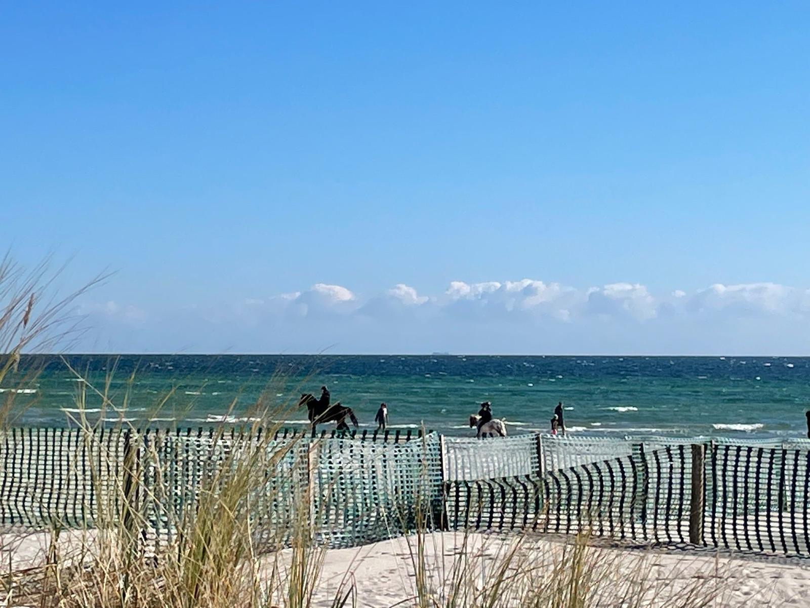 Strand mit Pferden und Menschen, getrennt durch Sanddunen und Zaun.