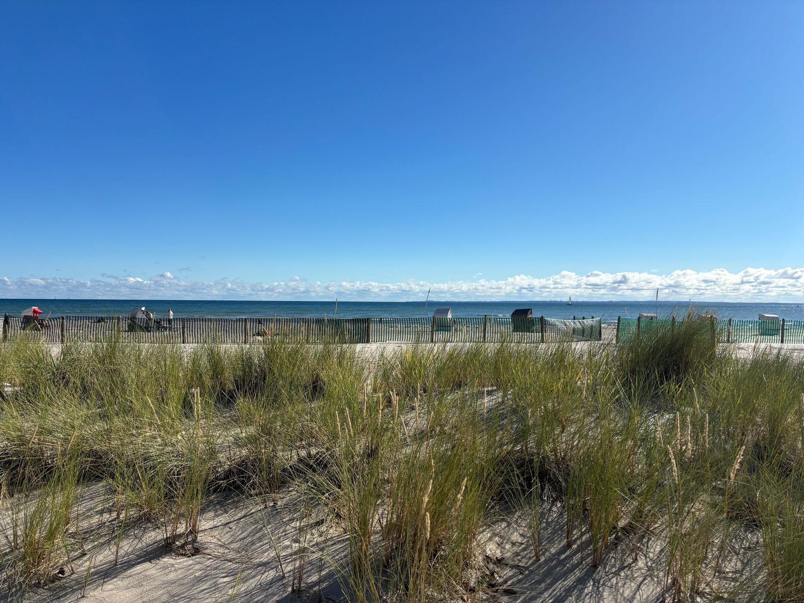 Strand mit Dünen und Blick auf das Meer unter blauem Himmel