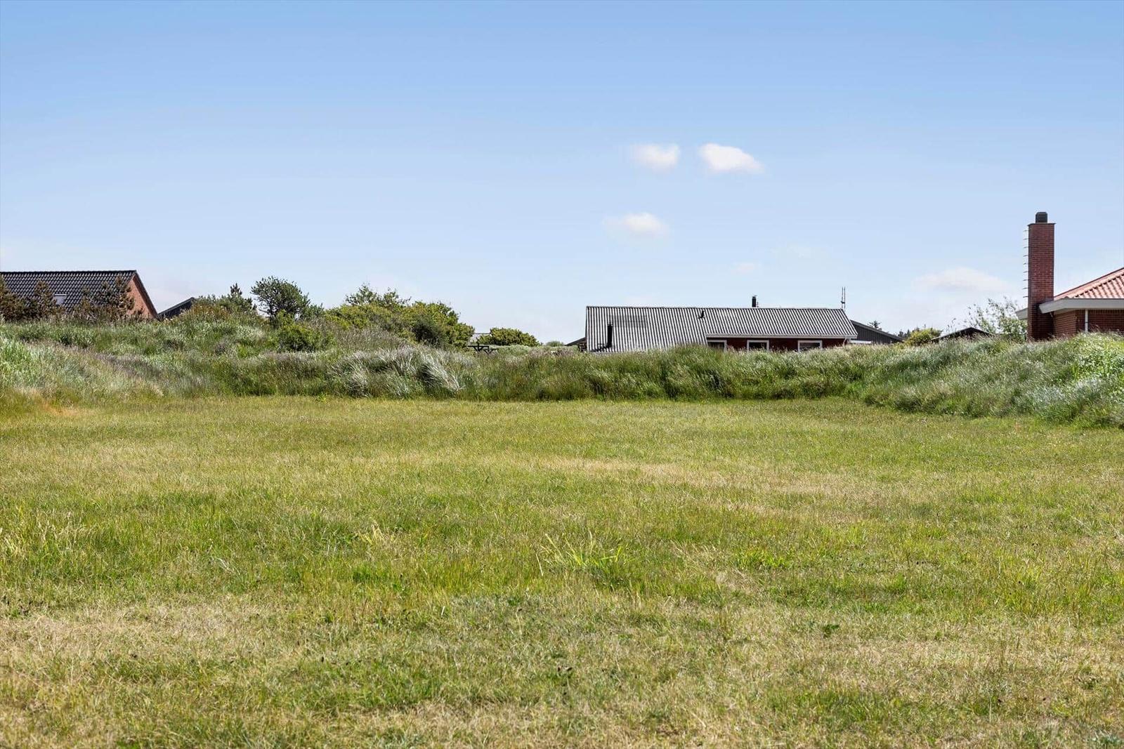 Grünes Feld mit Häusern im Hintergrund unter blauem Himmel.