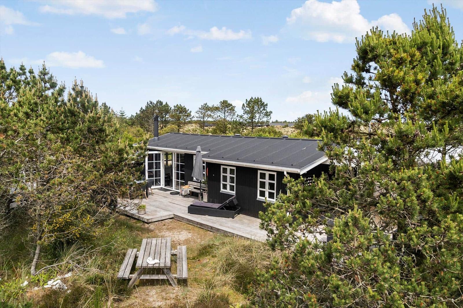 Schwarze Hütte mit Terrasse, umgeben von Nadelbäumen und einem Picknicktisch.