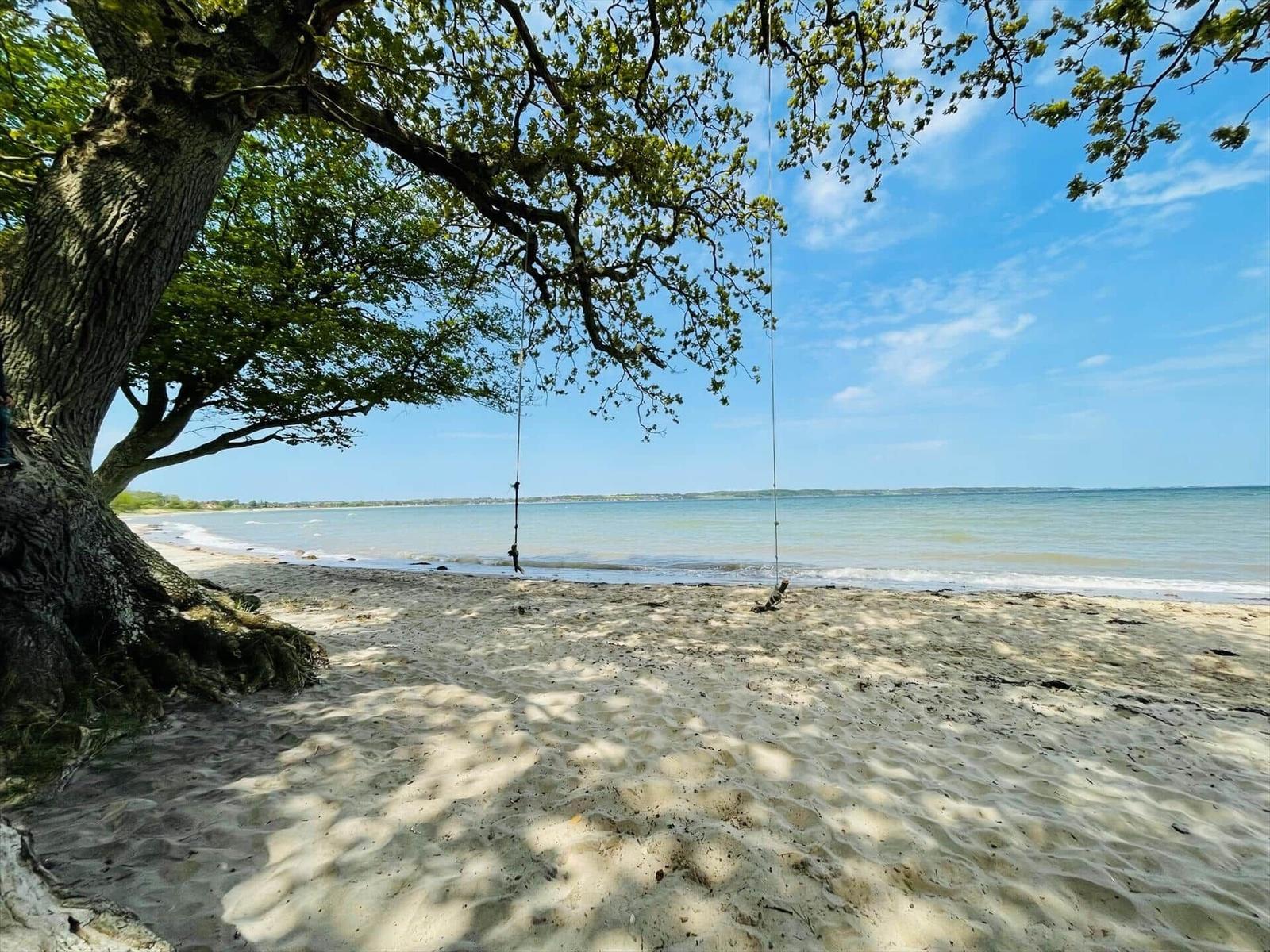 Schwinger unter einem Baum am Strand mit Blick aufs Meer.