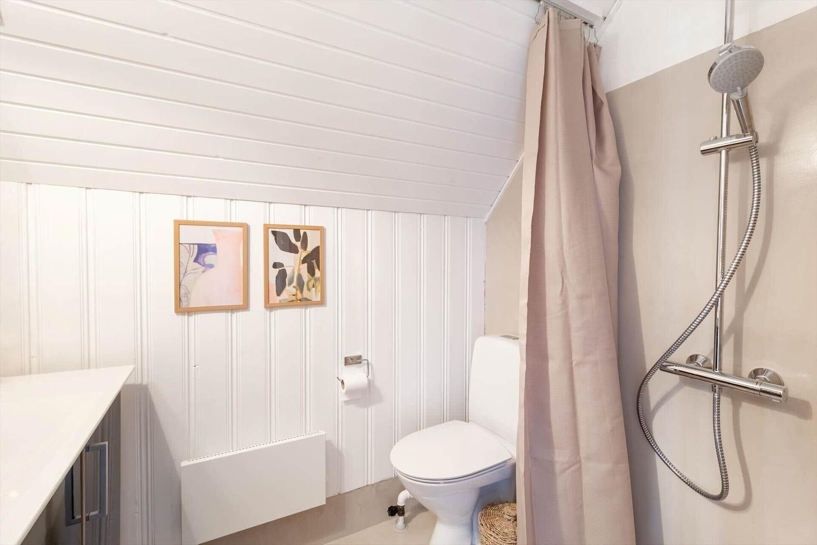 Badezimmer mit Dusche, Toilette und Waschbecken. Wandverkleidung und Bilder sichtbar.