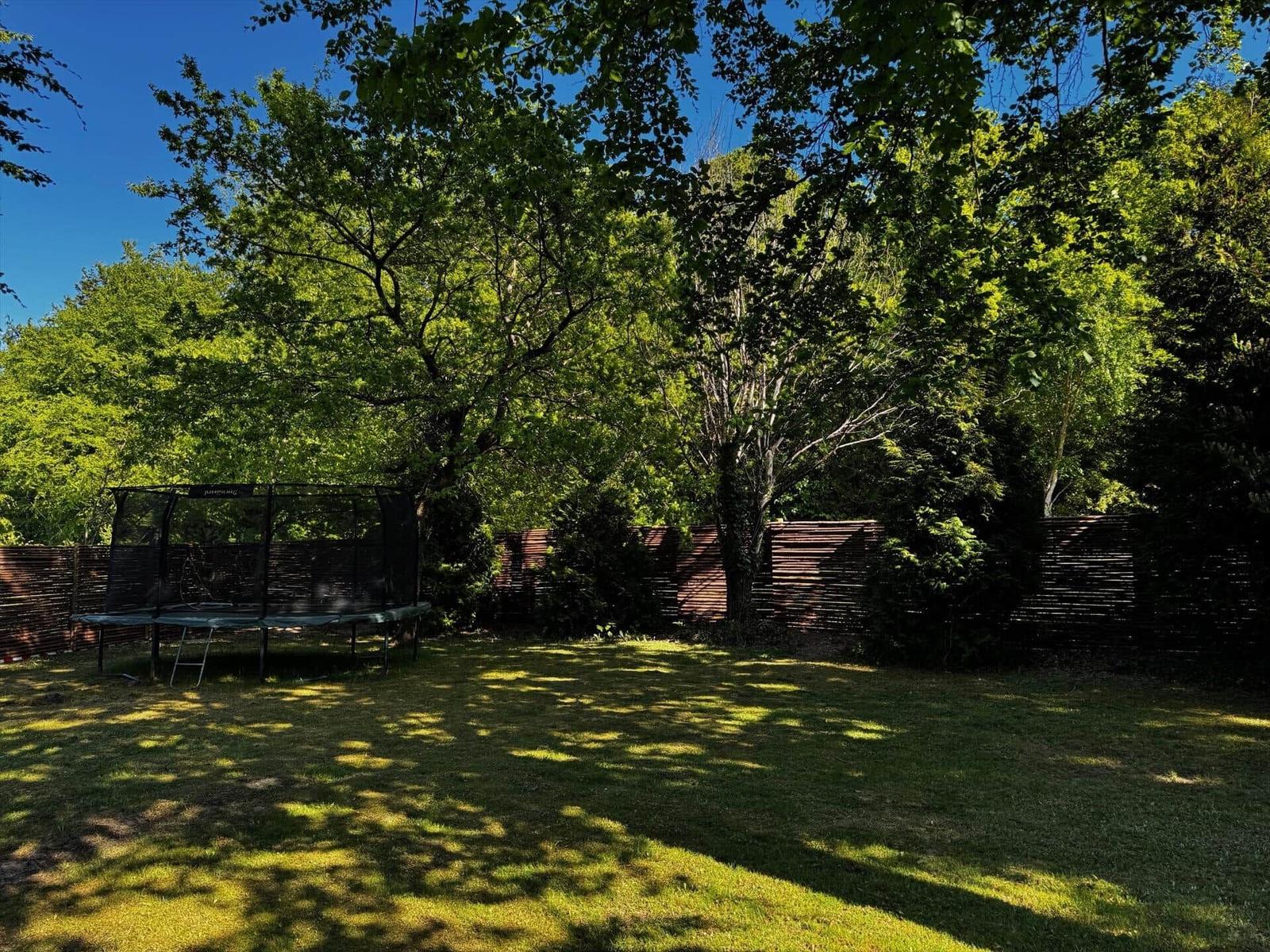 Backyard with trampoline and green lawn under trees.