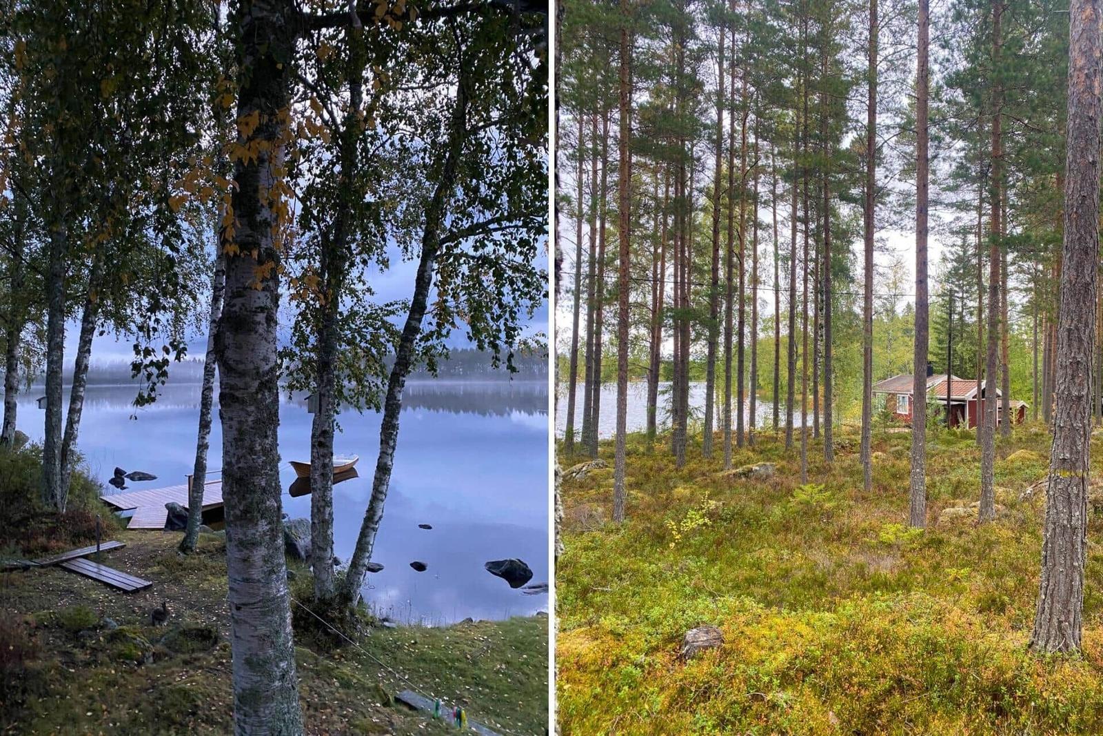 Seeufer mit Birken und Boot, Ferienhaus im Wald mit Blick auf Wasser