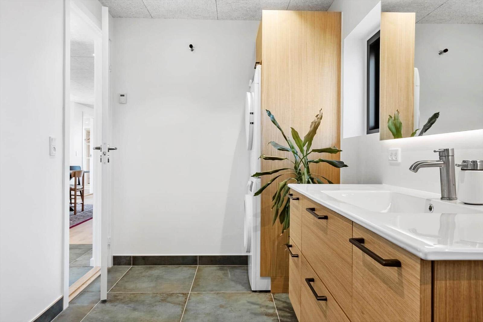 Badezimmer mit Waschbecken, Spiegelschrank und Pflanze. Tür führt in Wohnbereich.