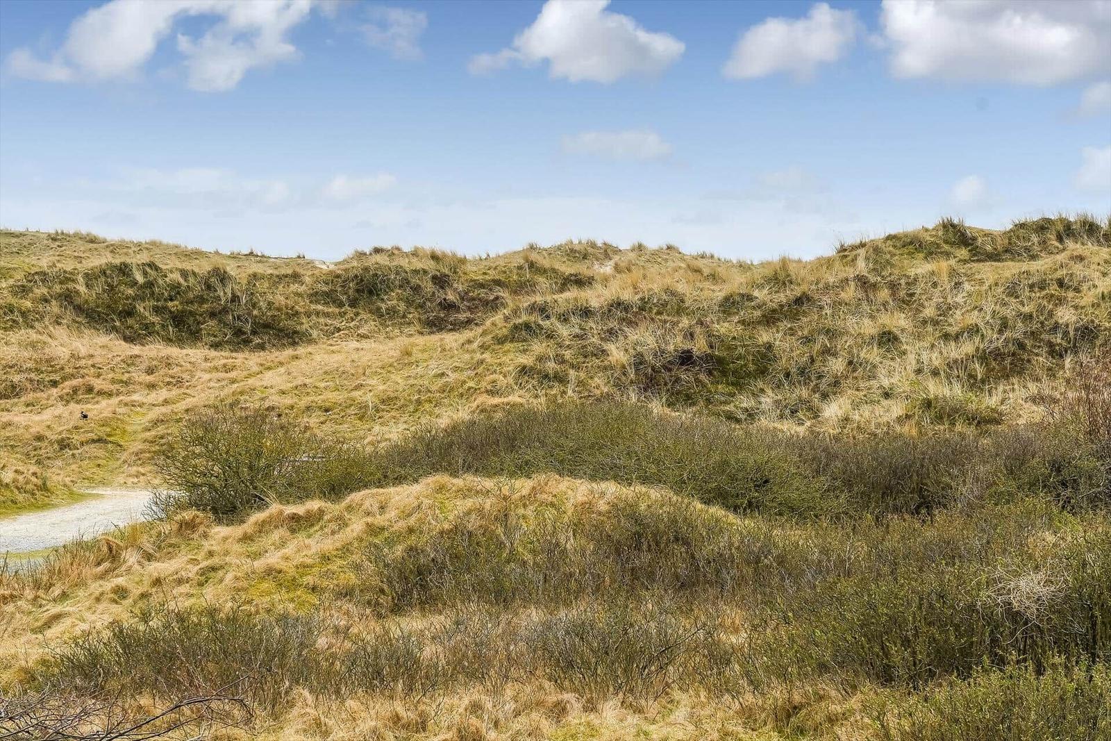 Dünenlandschaft mit Gras und Büschen unter blauem Himmel mit weißen Wolken.