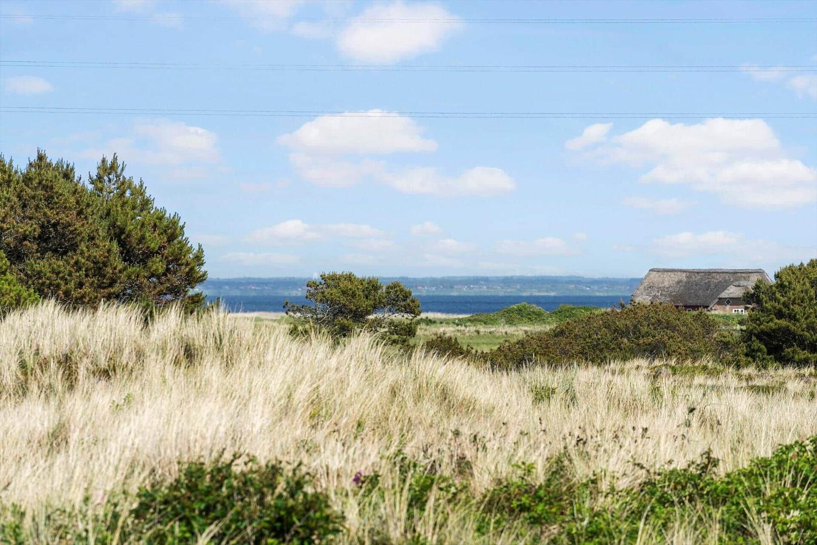 Haus mit Strohdach im Hintergrund, umgeben von hohem Gras und Bäumen, Blick auf das Meer.