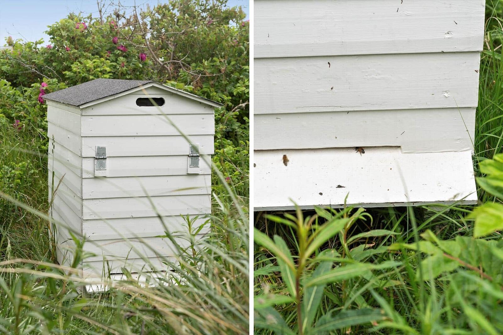 Weiße Bienenbox mit Dach und Bienenlöchern im Gras