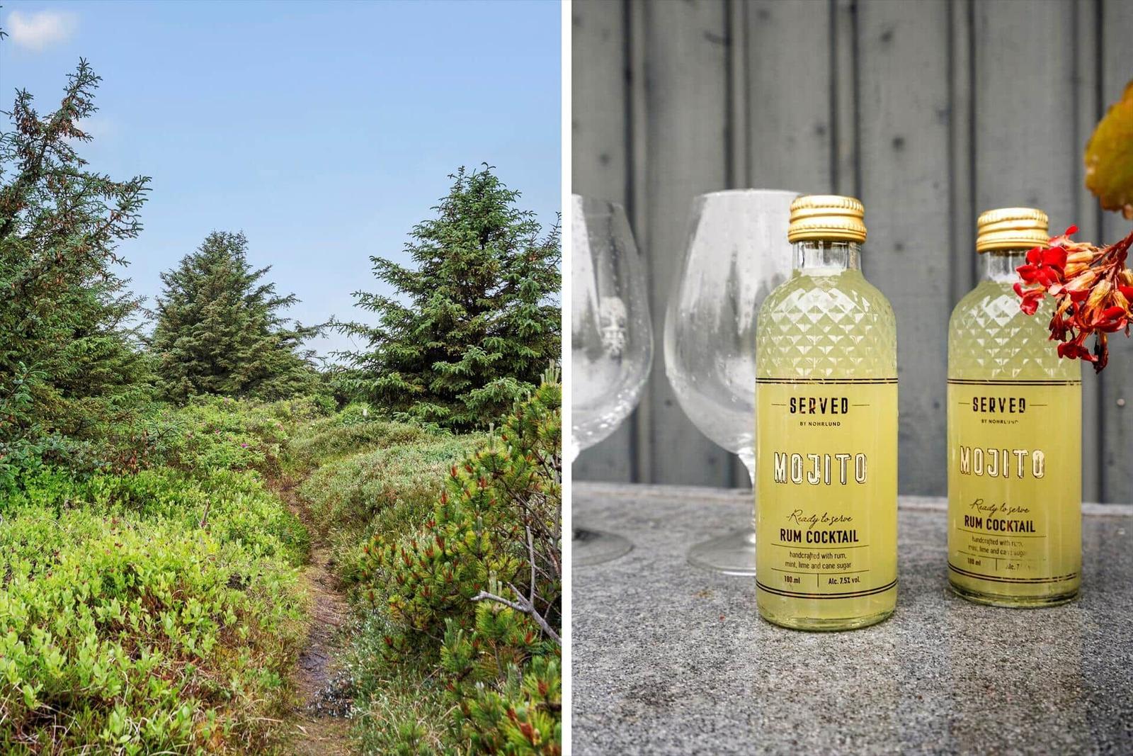 Waldweg mit Nadelbäumen und zwei Mojito-Flaschen auf Tisch mit Gläsern.