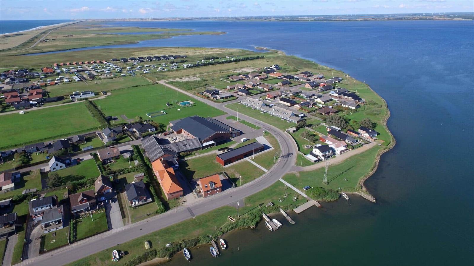 Aerial view of coastal village with houses, green fields, and water.