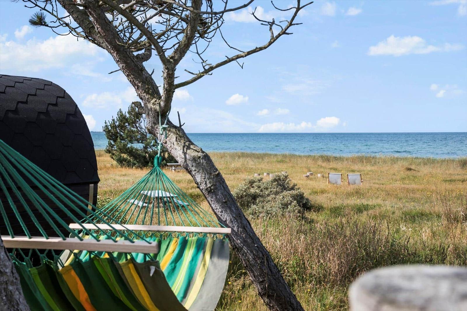 Green hammock under tree with view of sea and beach.