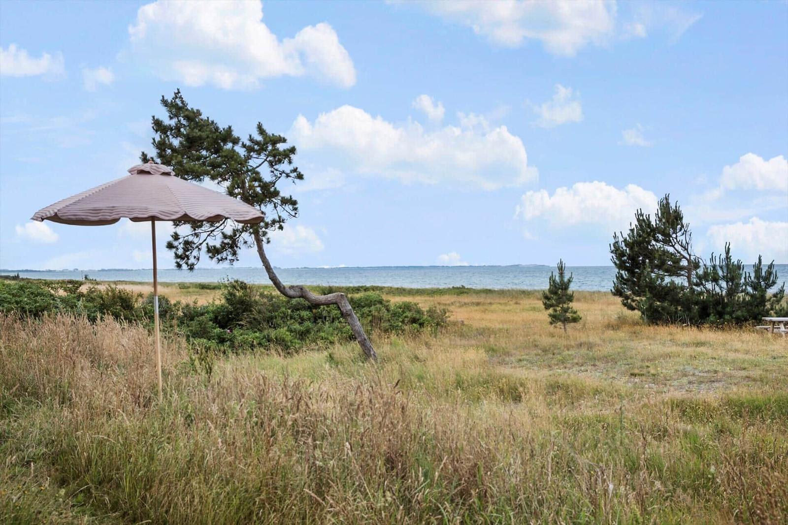 Grassy area near the beach with umbrella and sea view.