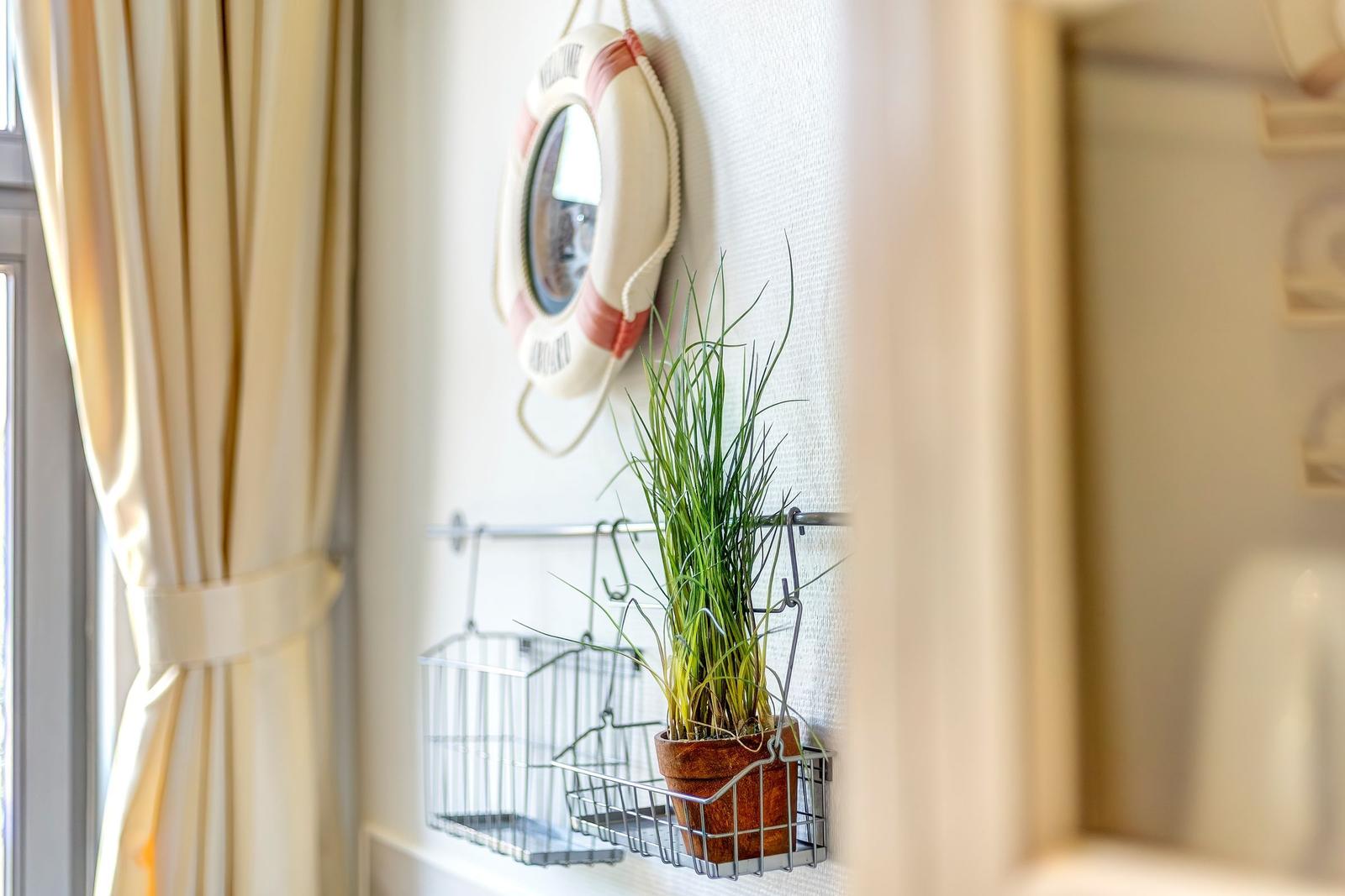 Wand mit Rettungsring, Pflanze in Korb und Vorhang