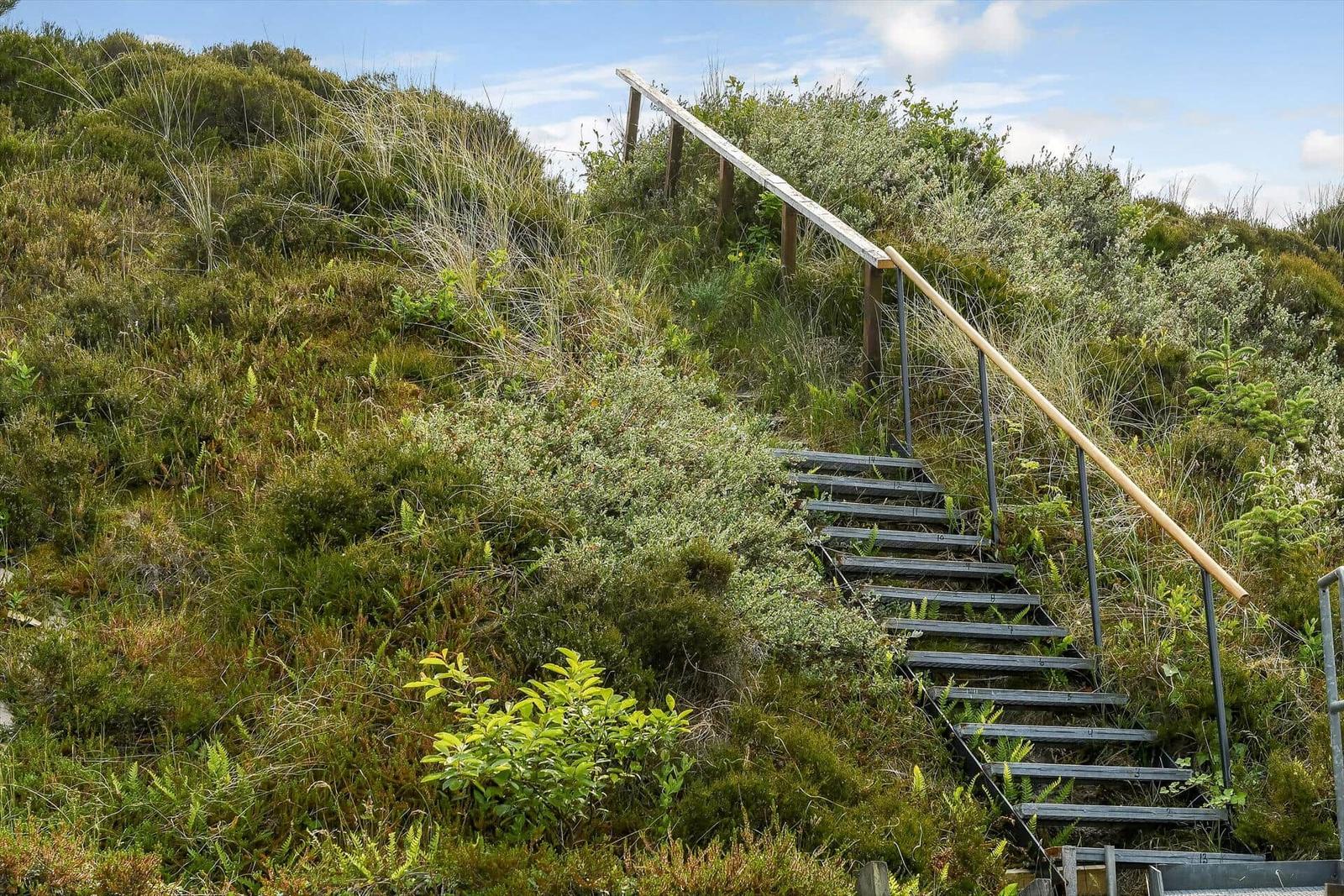Wooden path with metal railing ascends through green vegetation.
