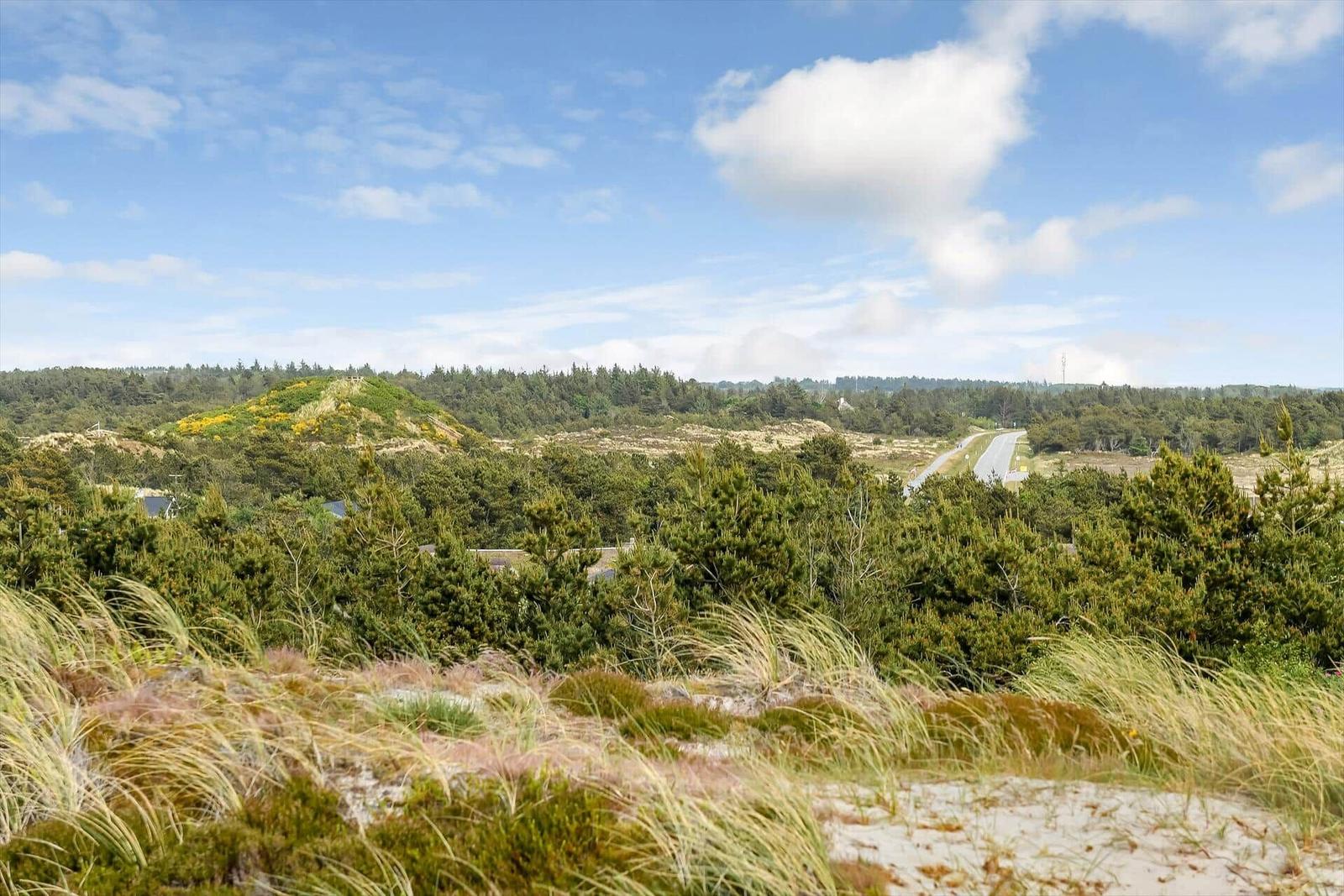 Wide view of green hills and a forest under a blue sky with white clouds.