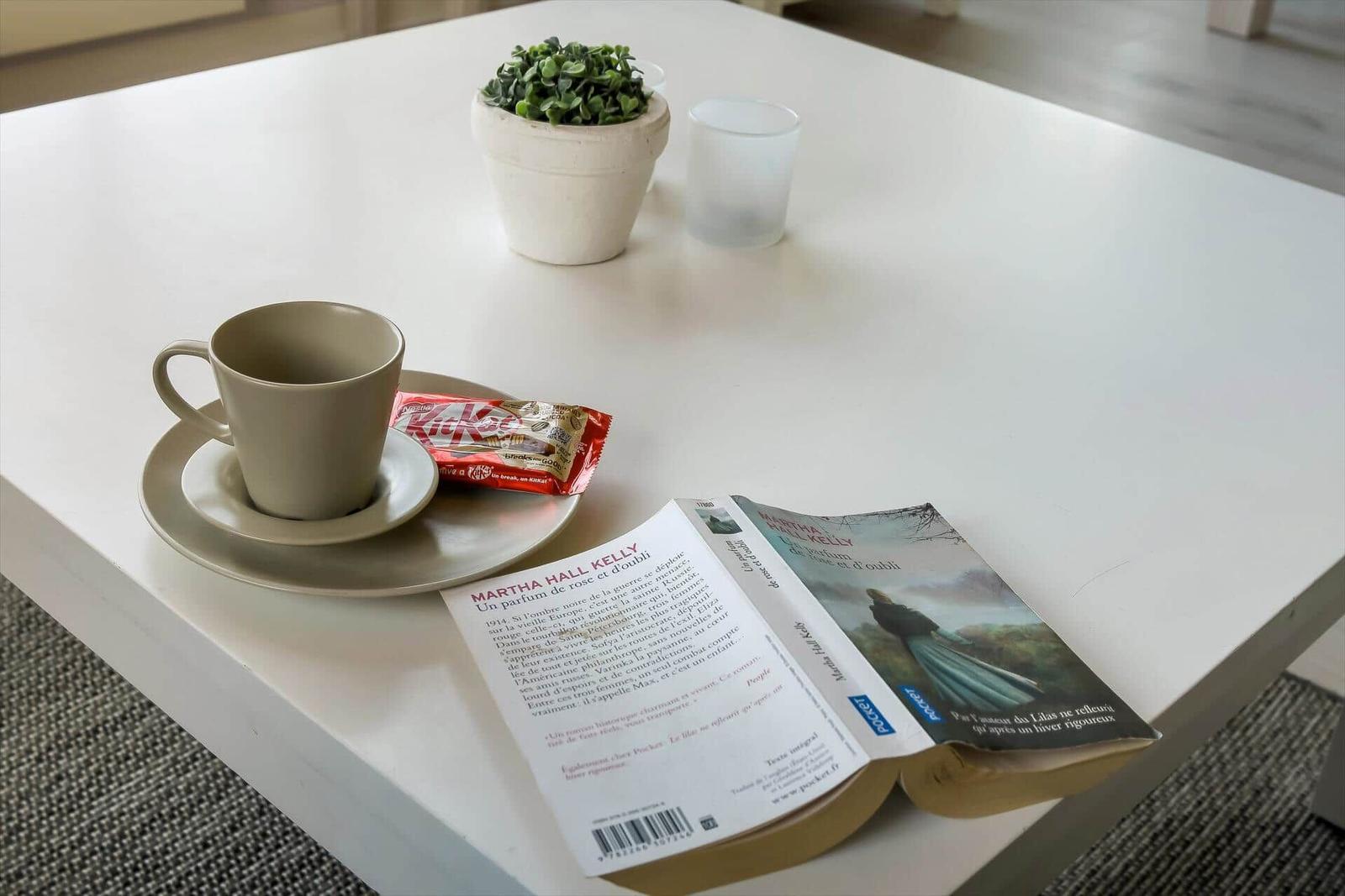 On the table is a cup, a book, and a small plant.