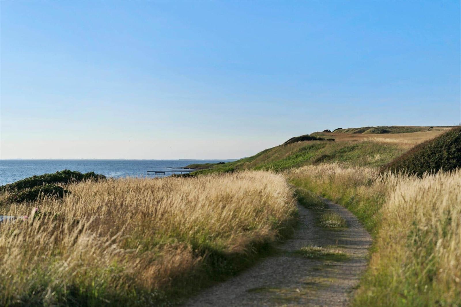 Weg durch Grasland zum Meer mit Blick auf einen Steg.