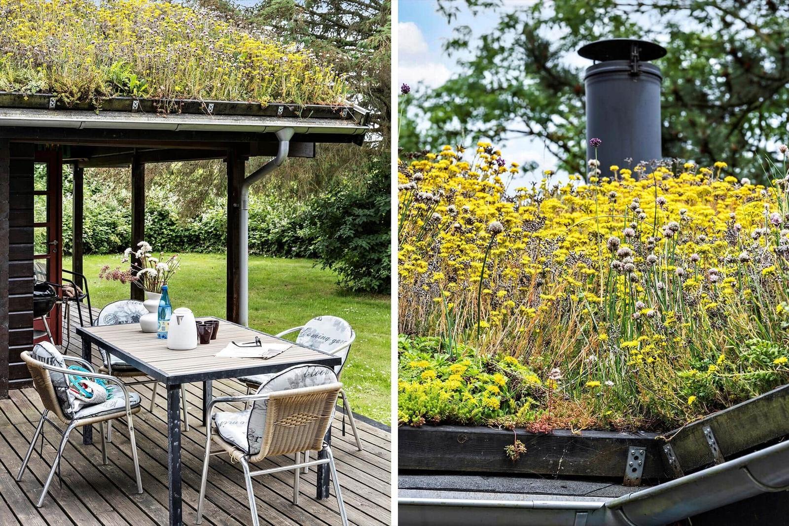 Terrace with table and chairs. Roof with flowers and chimney.