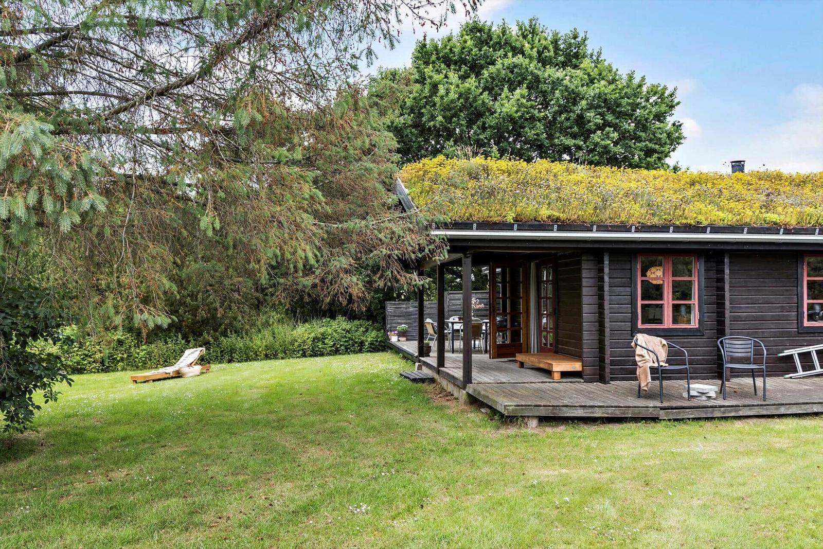 Wooden house with green roof and terrace in the garden.