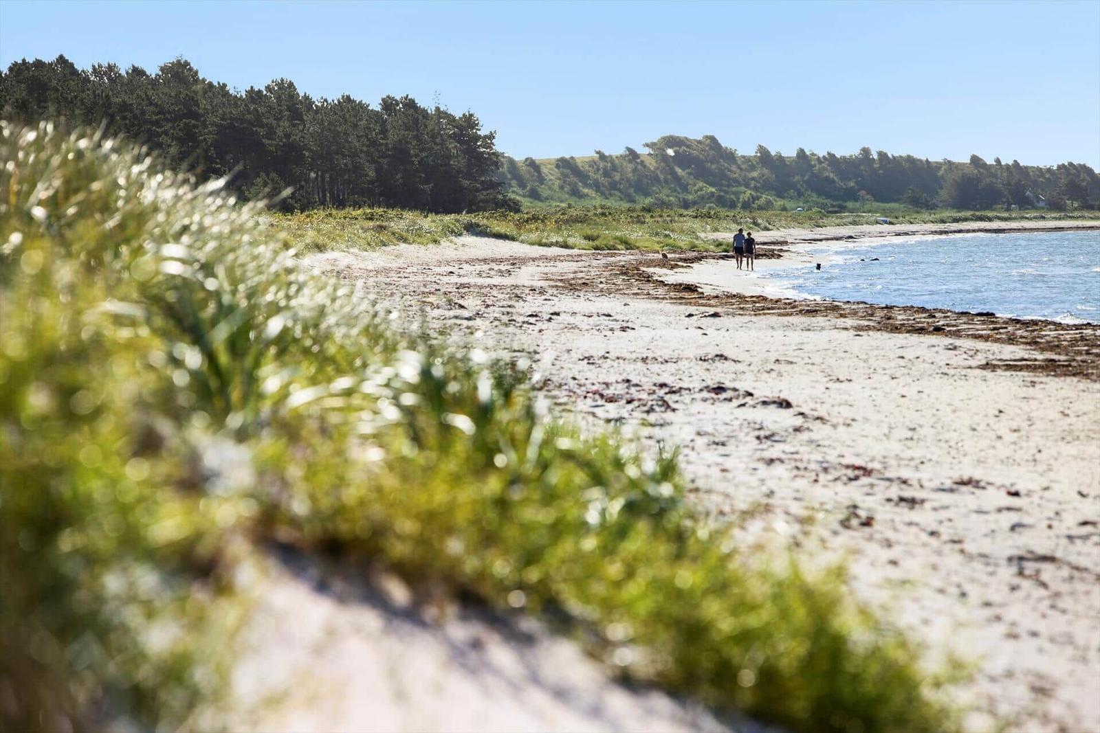 Two people walk along a sandy beach, with trees and the sea in the background.