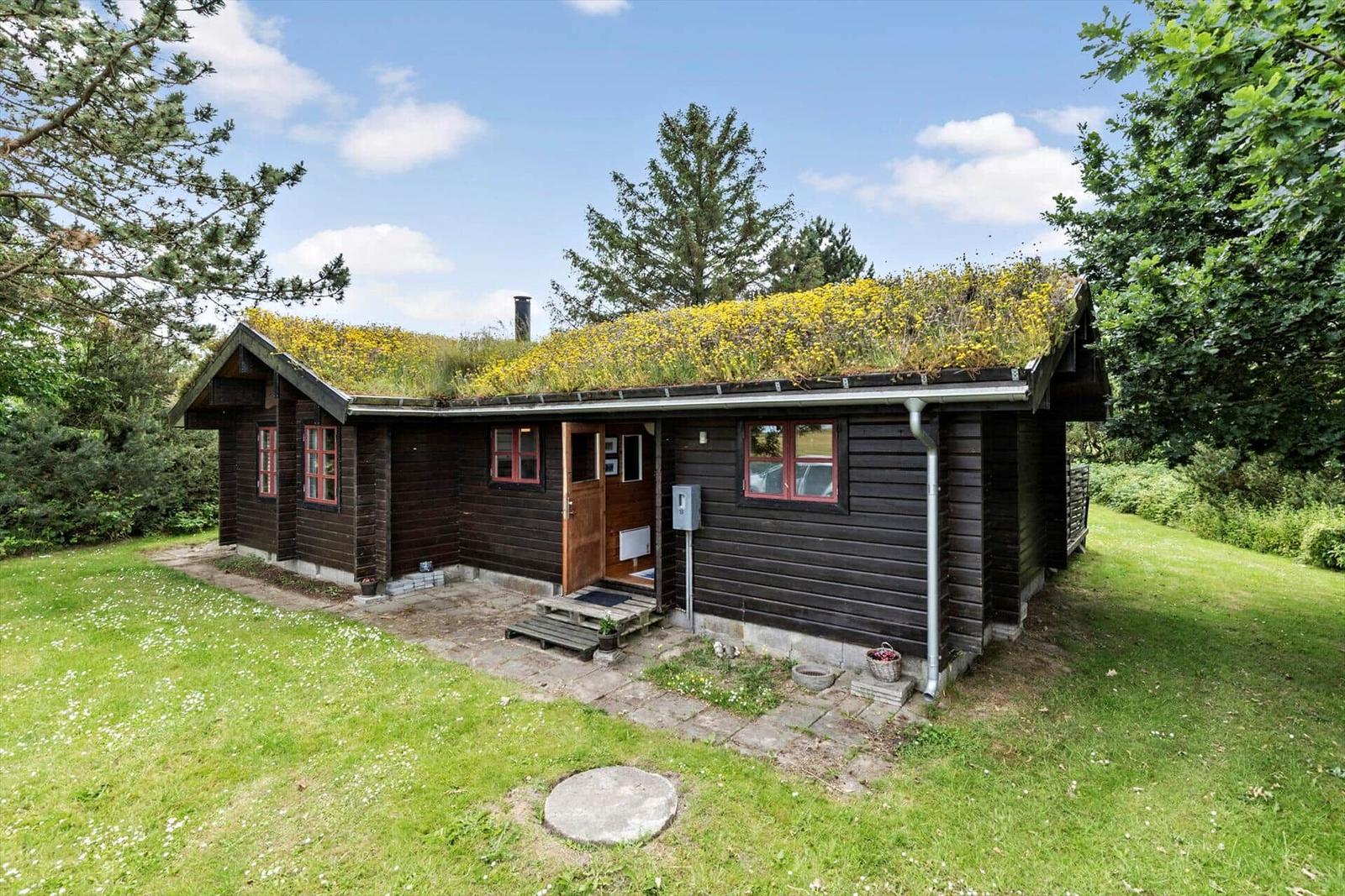 Wooden cabin with green roof and garden. Entrance door and windows visible.