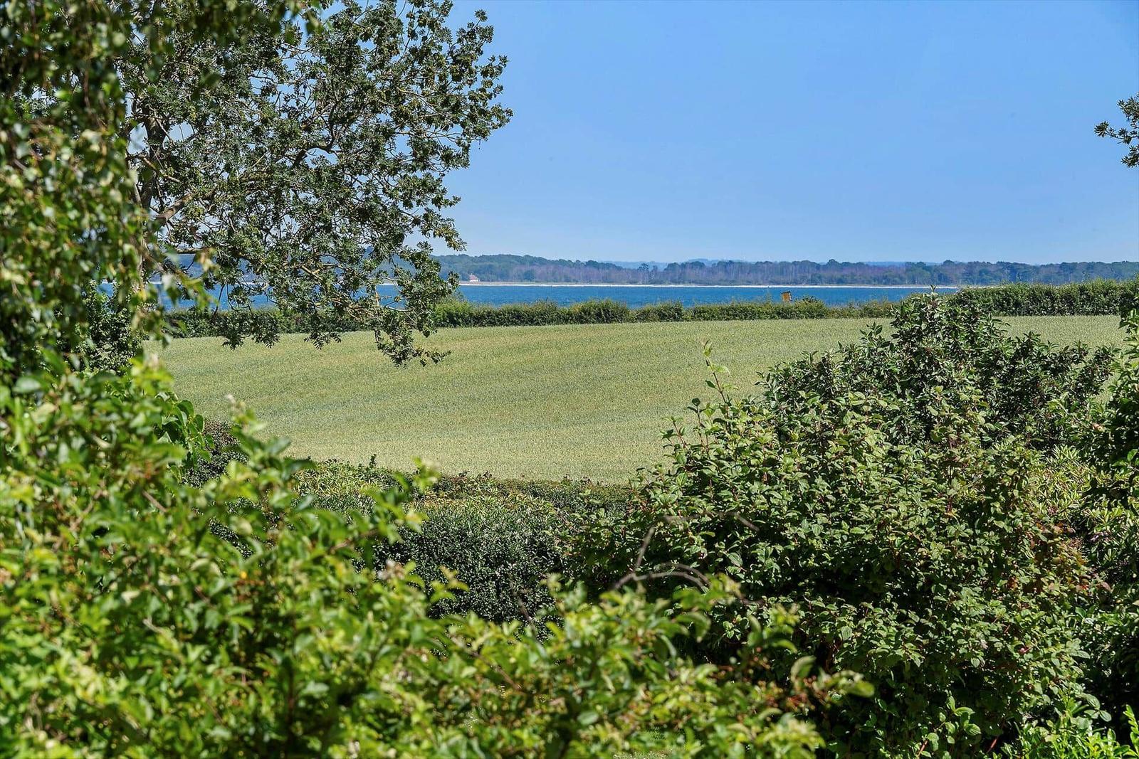 Wide view of field and sea through green vegetation.