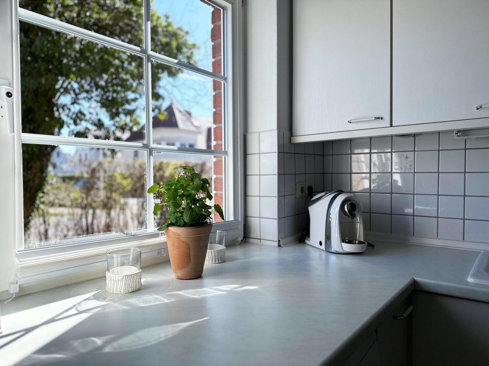 Küchenfenster mit Pflanze und Kaffeemaschine auf Arbeitsfläche