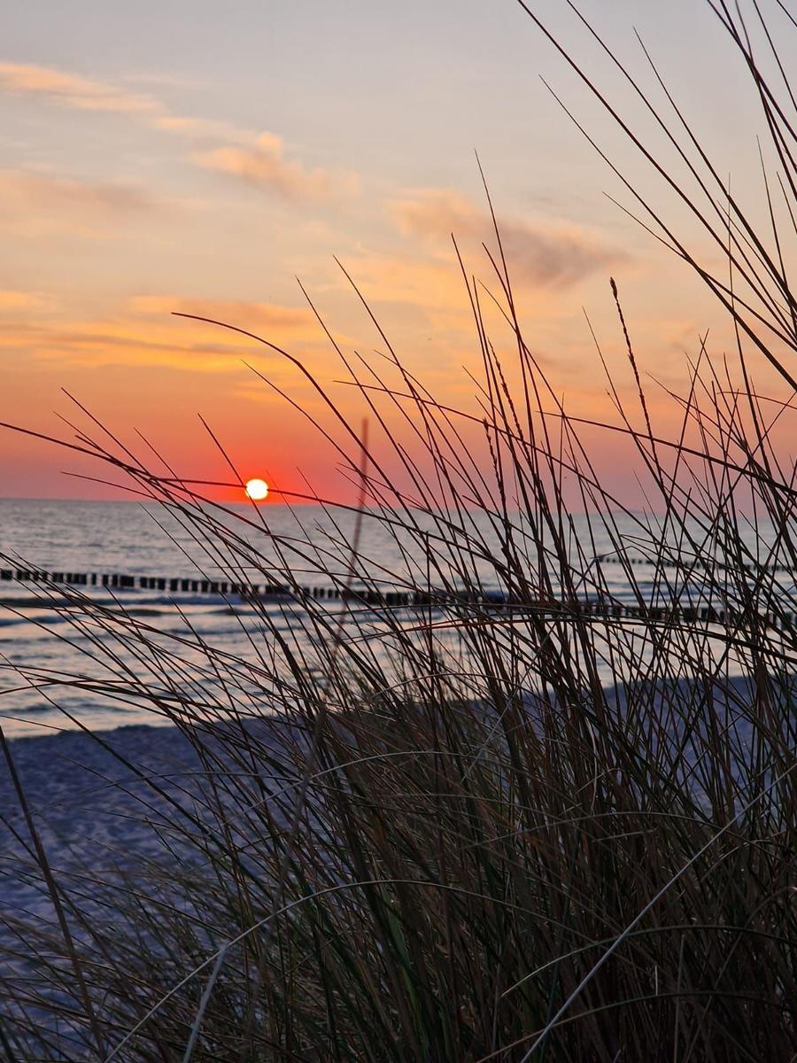 Sonnenuntergang über dem Meer mit Strandgras im Vordergrund.