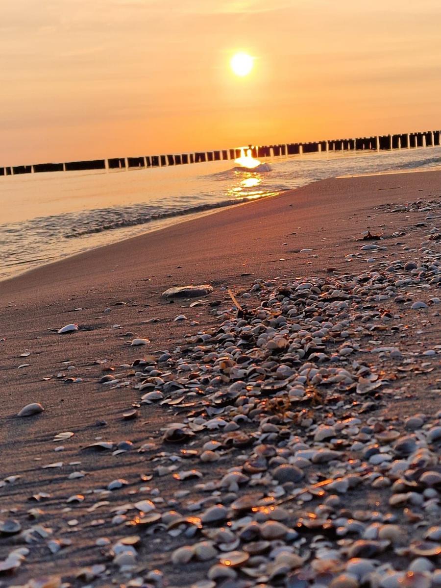 Sonnenuntergang am Strand mit Muscheln und Holzsteg im Hintergrund.