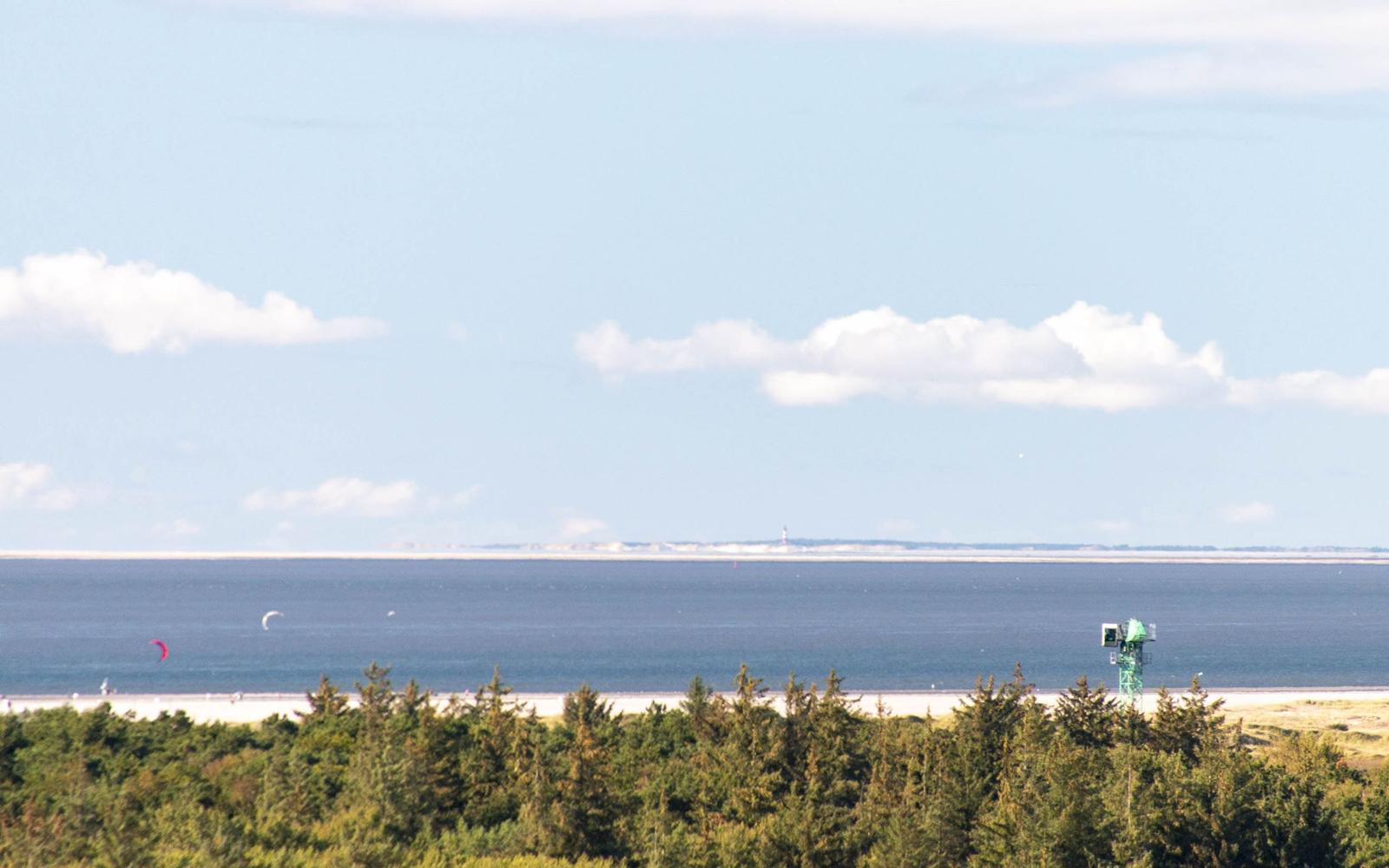 Meer mit Kitesurfern, Strand und Wald im Vordergrund.