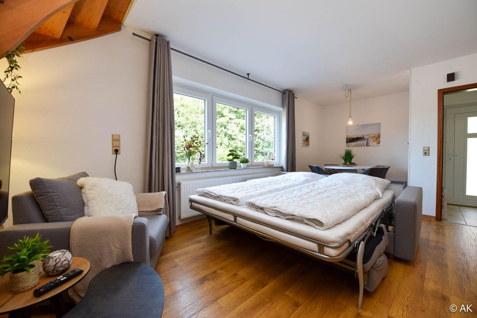 Schlafzimmer mit Schlafcouch, Fenster und Holzboden