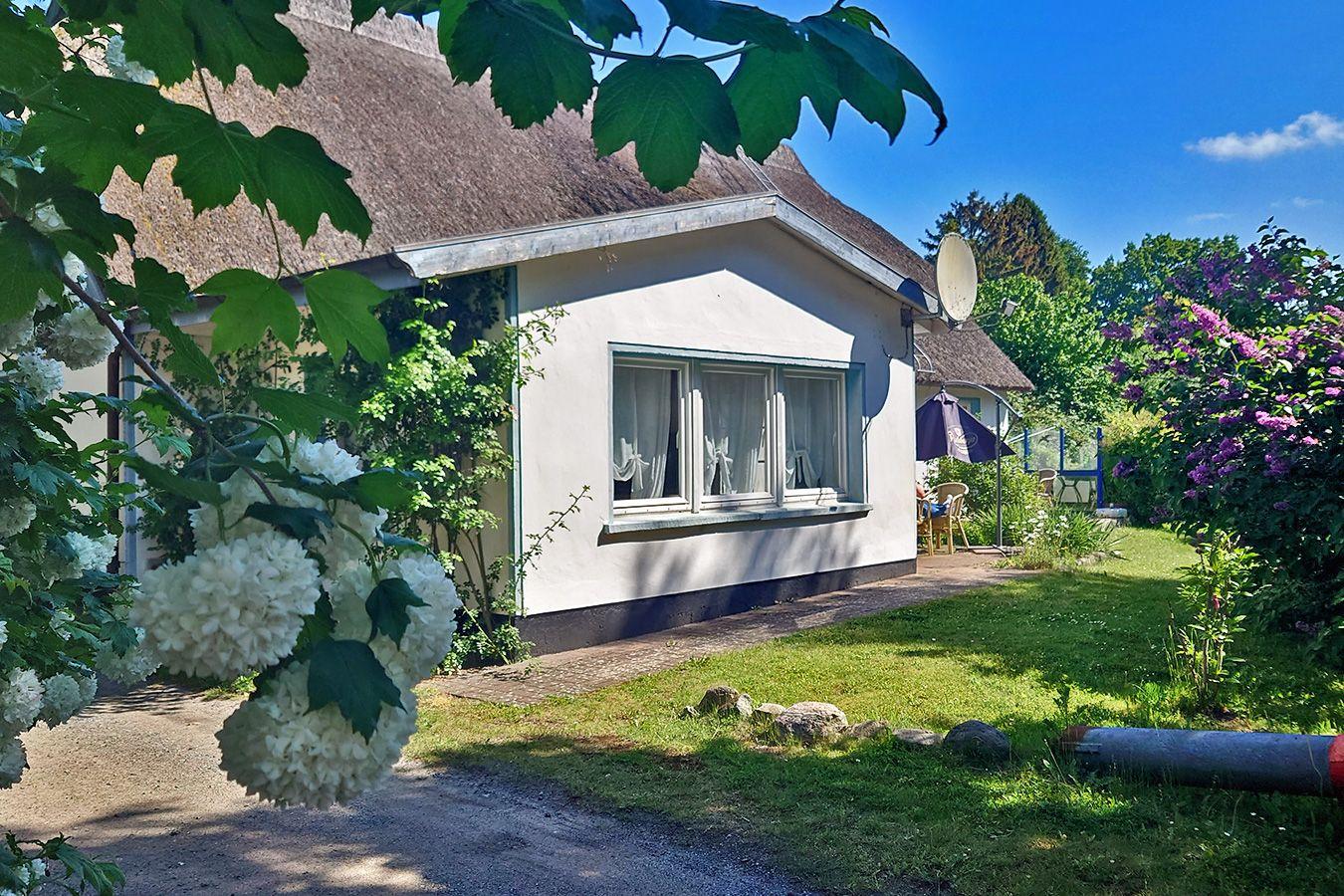 Wohnung unten rechts