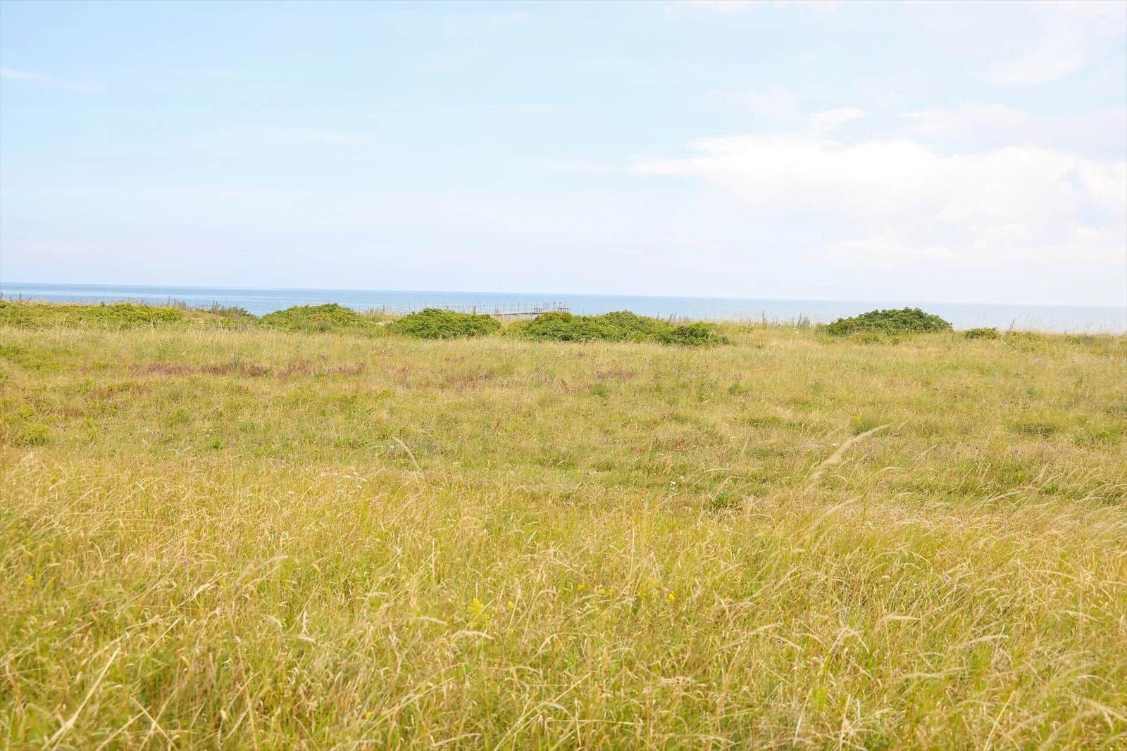 Weites Grasland mit Blick auf das Meer und grüne Hecken im Hintergrund.