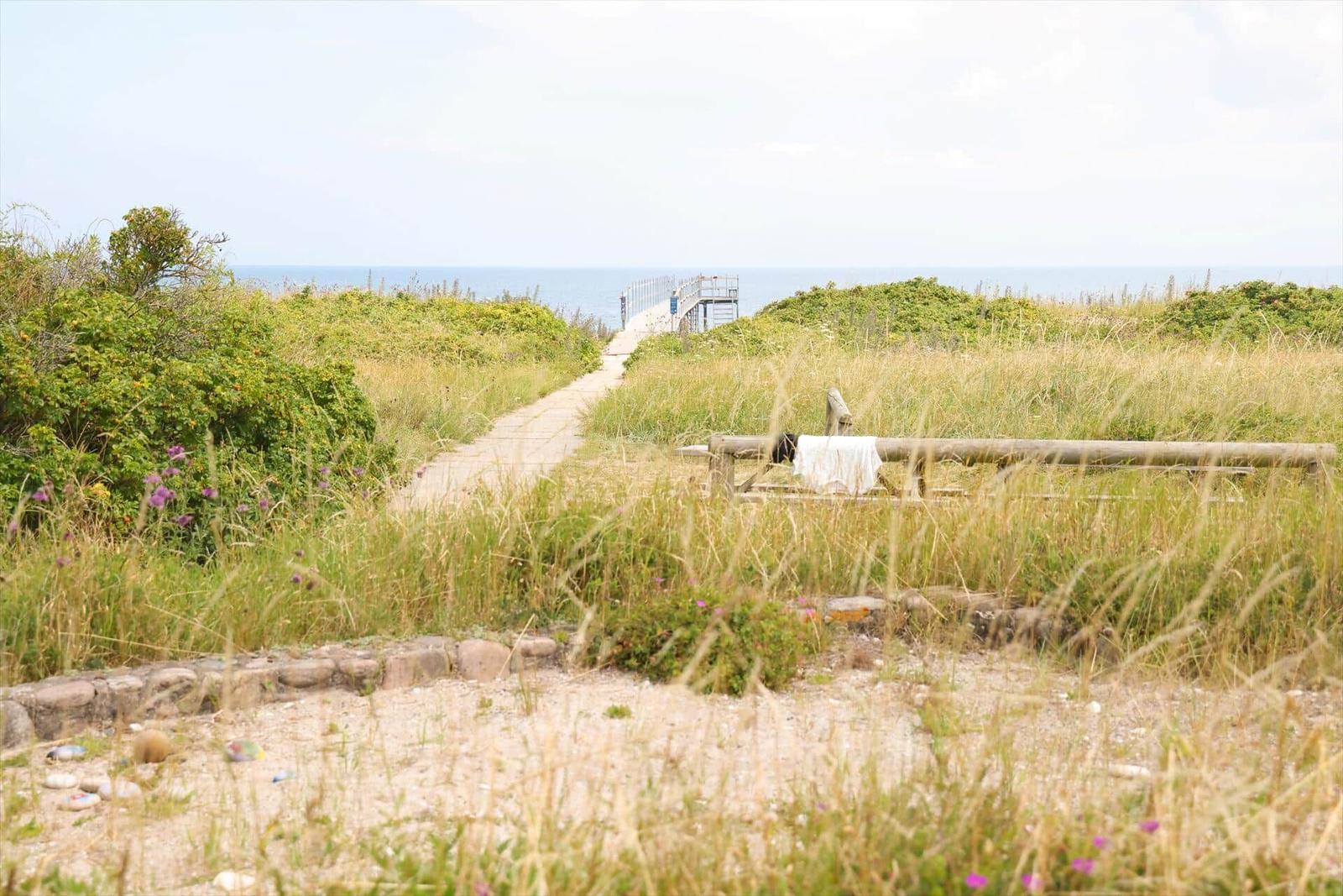 Weg durch Grasland zum Strand mit Blick aufs Meer.