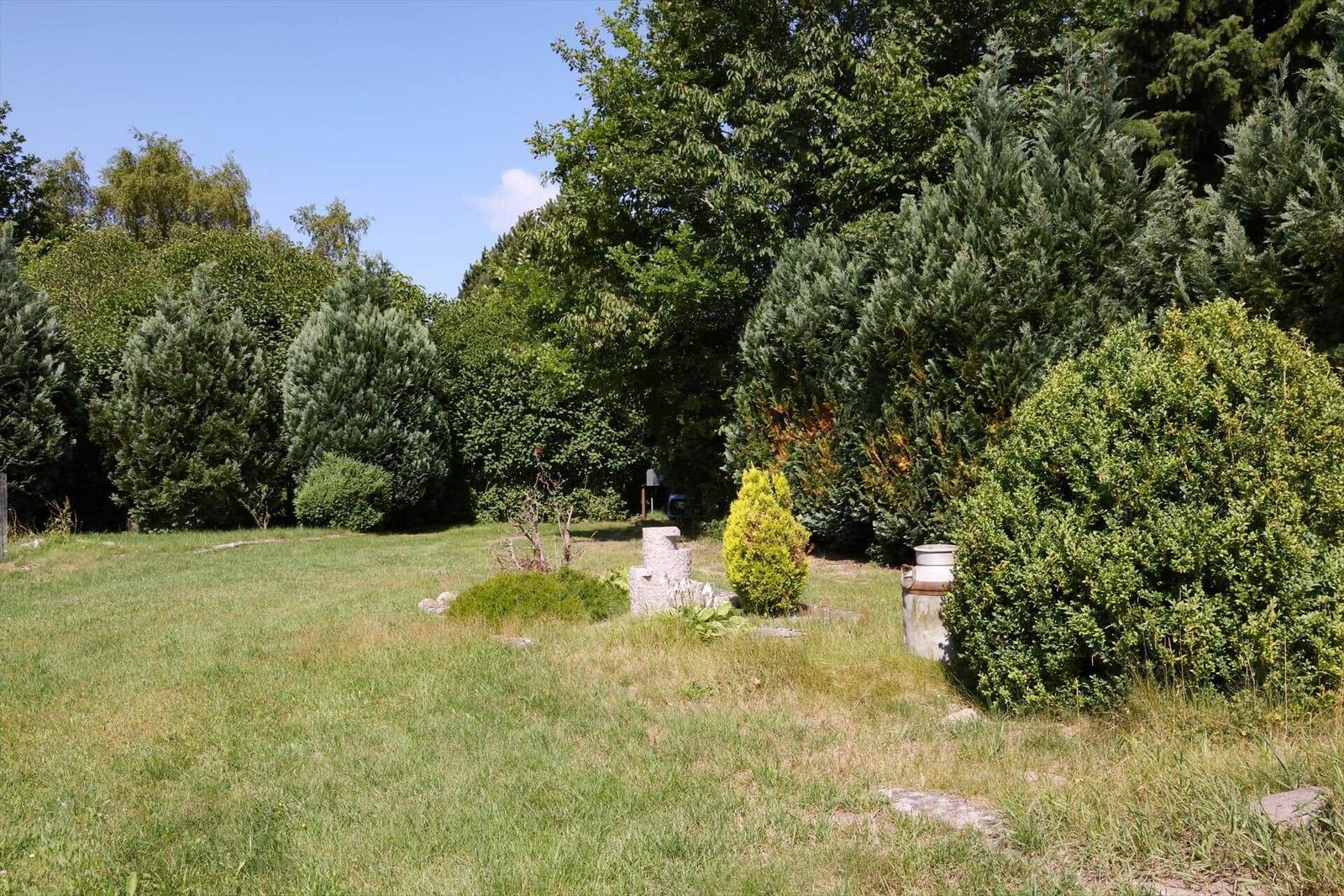 Grüner Garten mit Bäumen und Sträuchern. Ein alter Milchkanister steht im Vordergrund.